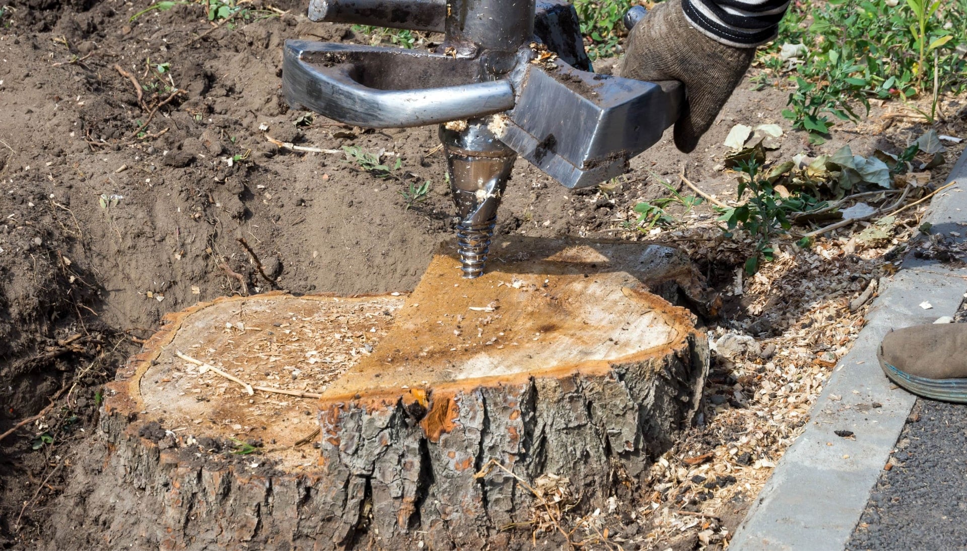 Columbia Tree stump removal
